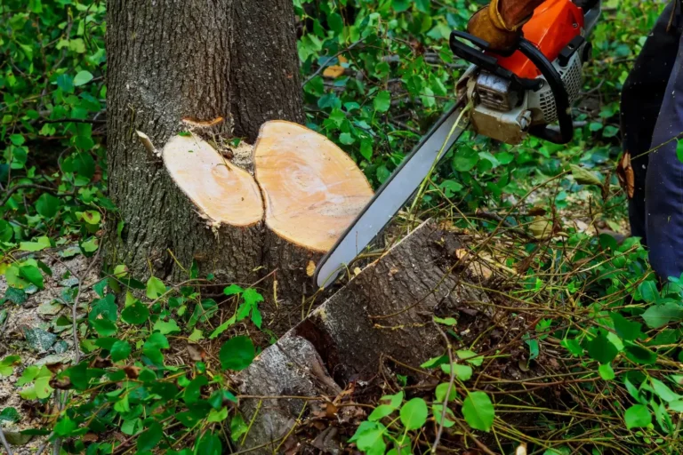 Green Leaf Tree Surgeons Dublin holding with chainsaw machine for cutting