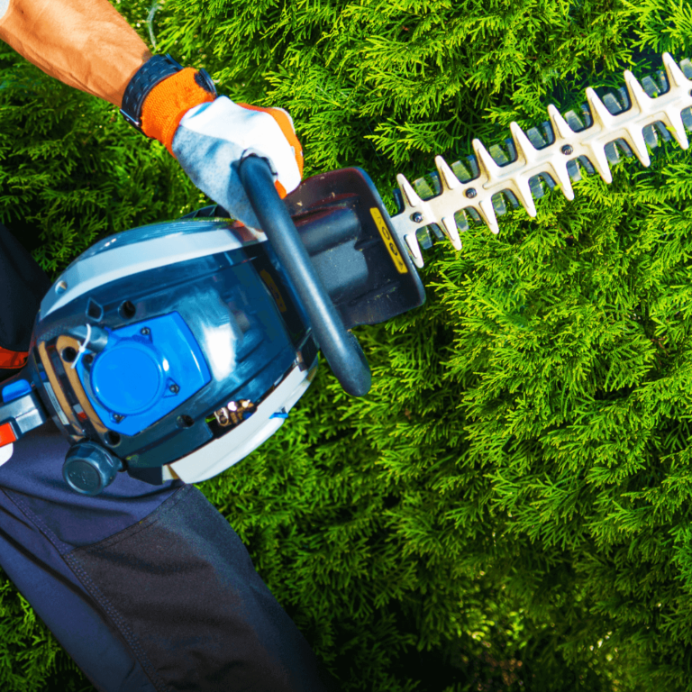 tree pruning holding